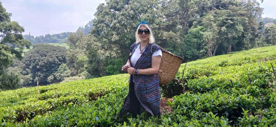 Kaimbethu tea farm tour and lunch package - Getting Out of Nairobi Fast: Pickup, Small Group, and a 6-Hour Reality Check