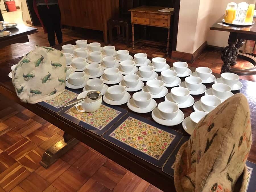 Kaimbethu tea farm tour and lunch package - The Tea-Farm + Forest Combo: Colobus Monkeys, Birds, and a Gentle Stroll