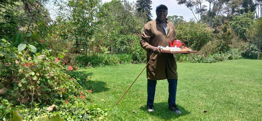 Kaimbethu tea farm tour and lunch package - Who This Tour Suits Best (And Who Might Want Another Option)