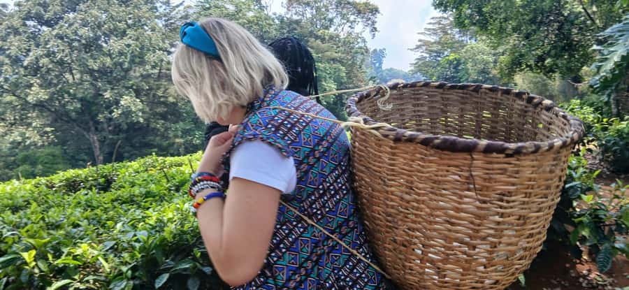 Kaimbethu tea farm tour and lunch package - Should You Book the Kiambethu Tea Farm Tour and Lunch Package?