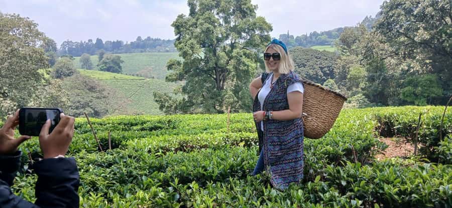 Kaimbethu tea farm tour and lunch package - FAQ