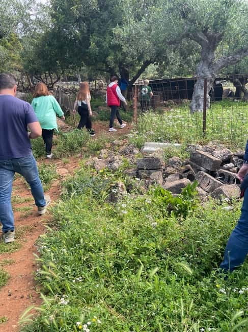 Kalamata: Farm-to-Table Experience with Cooking - Why the cultural notes change how you eat