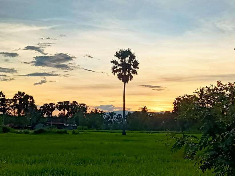 Kampot Countryside include Pepper farm,Kep crab market beach - From Kampot Pickup to a Long Countryside Circuit