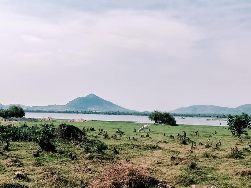 Kampot Countryside include Pepper farm, Salt field & Lake - La Plantation Pepper Farm: The Free Tour and Tasting Session
