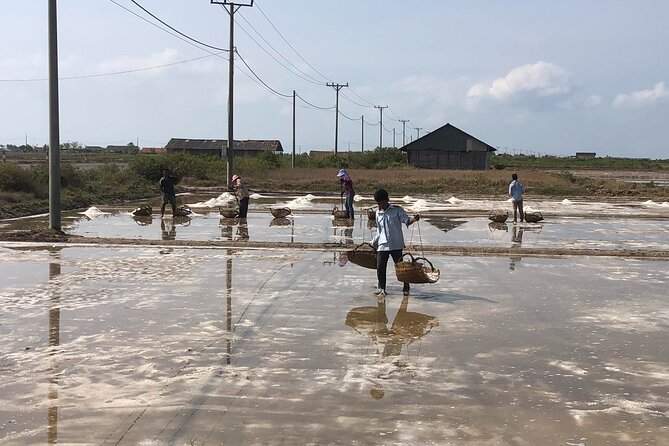 Kampot Countryside Tour - Pepper Farm, Salt Lake, Caves, and more - Kampot’s salt-and-pepper route, without the big tour circus