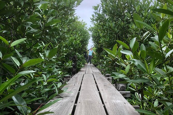 Kampot Countryside Tour - Pepper Farm, Salt Lake, Caves, and more - Pickup, private transport, and what the day feels like