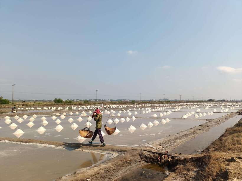 Kampot: Full-day Countryside Tour with Pepper Farm and Kep - La Plantation: pepper tour, pepper testing, and time to shop