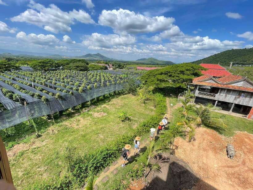 Kampot Pepper Farm, Salt Fields, Crab Market from Phnom Penh - What’s included (and what you’ll still pay for)