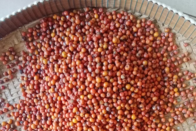 KAMPOT- Pepper farm ..salt fields.Kep/Crab market & more........ - A tuk-tuk day you can pace yourself
