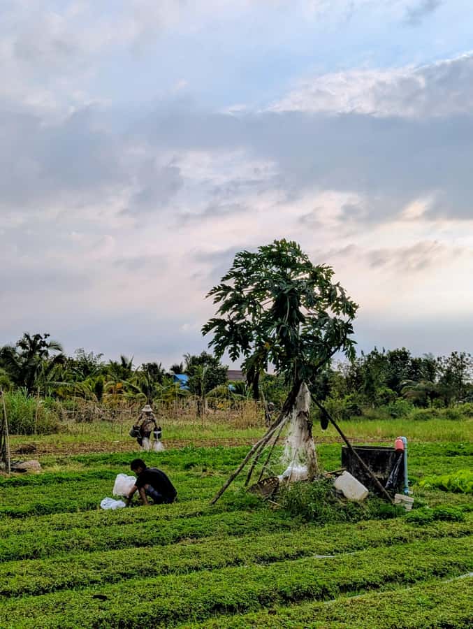 Kampot Private Tour: Pepper Farm, Salt Field & Secret Lake - The Secret Lake Break at Bratek Krola Water Dam