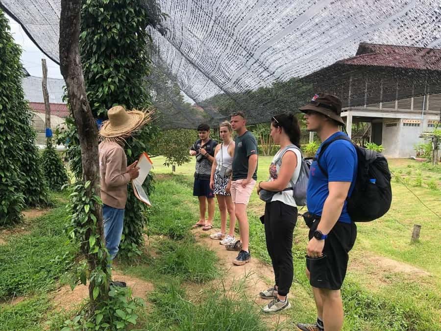 Kampot Private Tour: Pepper Farm, Salt Field & Secret Lake - Who This Tour Fits Best (and Who Should Skip It)