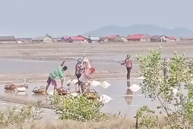KAMPOT TRAVEL-Pepper farm. Cave.Secret lake-Crab market & Salt... - Phnom Chhngok Cave Temple: A Hindu Cave Temple Stop That’s Surprisingly Specific