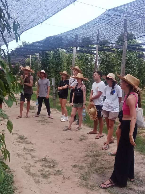 Kampot: Tuk Tuk Trip to Pepper Farm, Kep, Crab Market & More - Kep Beach wind-down: short stroll, salt air, sunset vibes