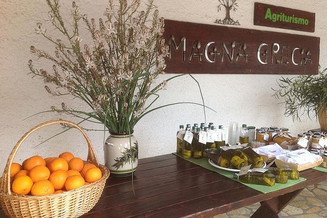 Katakolon 7hour tour : Olympia-Honey Farm-Winery-Beach - Olympia ruins: Temple of Zeus and Hera, plus how to get your money’s worth