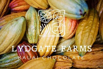 Kauai Chocolate Farm Tasting Tour - Stop at the botanical gardens: honey, vanilla beans, and farm fruit tastings