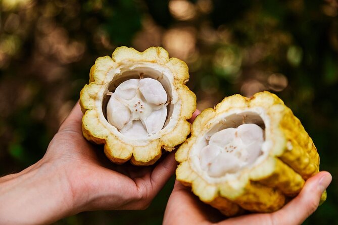 Kauai Chocolate Farm Tasting Tour - The tasting lineup: what you’ll likely sample and why it matters