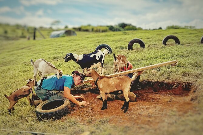 Kauai Private Baby Farm Animal Experience & Micro Dairy Immersion - Key takeaways before you go