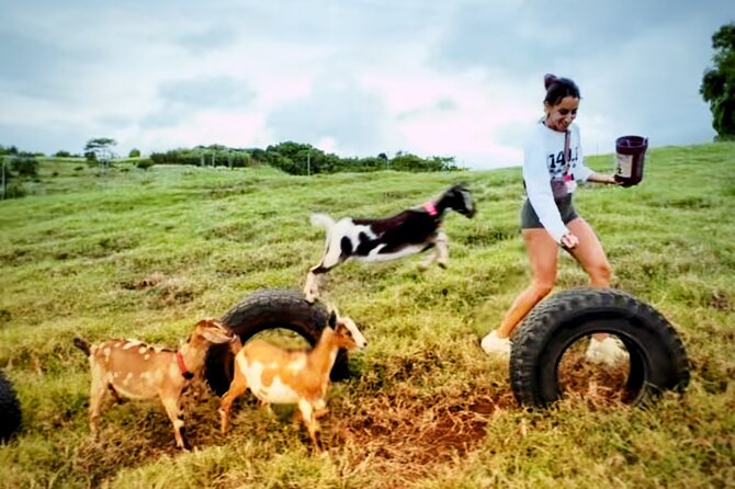 Kauai Private Baby Farm Animal Experience & Micro Dairy Immersion - The Real Point: Baby Animals + Micro Dairy, Not a Petting Zoo