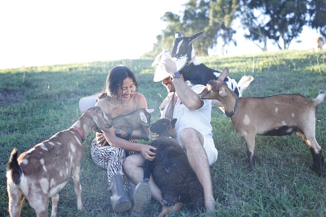 Kauai Private Baby Farm Animal Experience & Micro Dairy Immersion - Farm Chores You Might Get to Try (Shearing, Hoof Trimming, Compost, Planting)