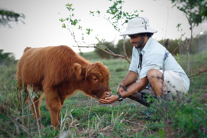 Kauai Private Baby Farm Animal Experience & Micro Dairy Immersion - Meeting at 5431 Hauaala Rd: Timing and Getting There