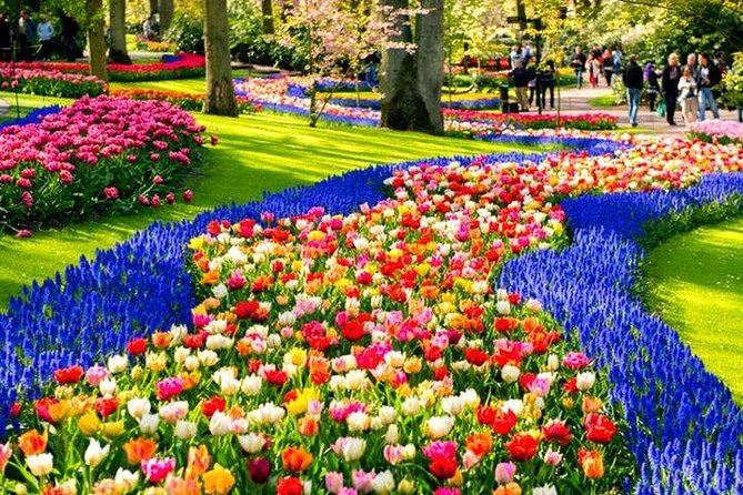 Keukenhof Skip-the-line Tickets: Countryside & Farm Private Tour - Key points before you go
