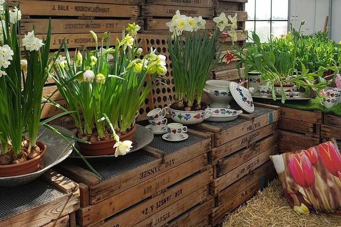 Keukenhof Skip-the-line Tickets: Countryside & Farm Private Tour - The value of a private Keukenhof day in a Mercedes