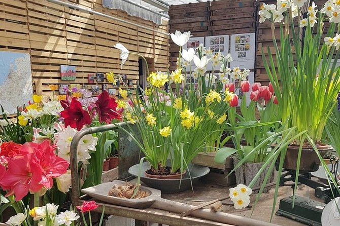 Keukenhof Skip-the-line Tickets: Countryside & Farm Private Tour - Stop 1 in Lisse: bulb farms and flower fields near Amsterdam