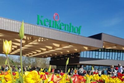 Keukenhof Skip-the-line Tickets: Countryside & Farm Private Tour - How the day flows: a nonstop Dutch highlights loop