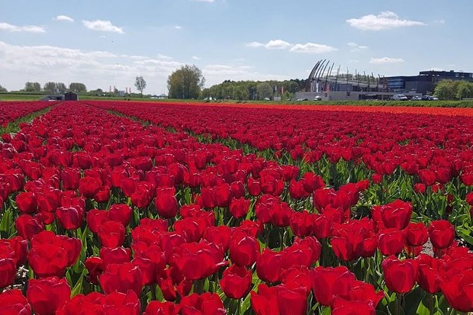 Keukenhof Skip-the-line Tickets: Countryside & Farm Private Tour - Stop 3 at Zaanse Schans: windmills, river views, and clogs