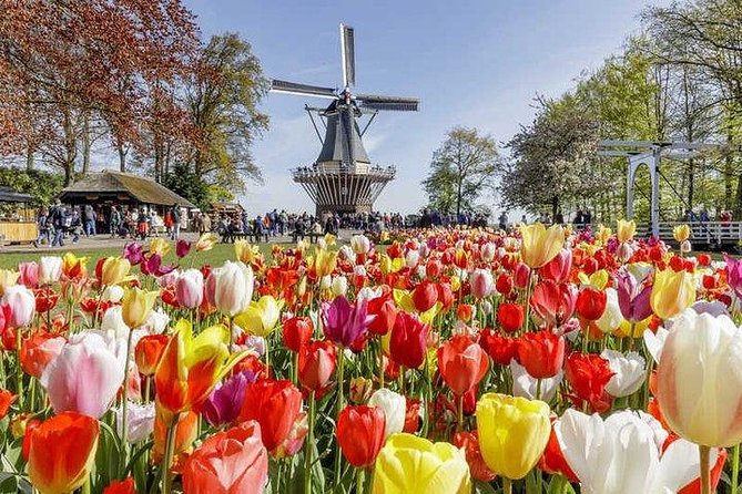 Keukenhof Skip-the-line Tickets: Countryside & Farm Private Tour - Stop 5 in Volendam: fishing village atmosphere and seaside meal time