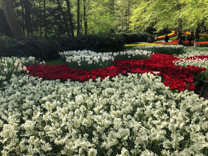 Keukenhof, Tulip Farm, Flower Fields & Windmills - A 7.5-Hour Private Route From Amsterdam That Actually Feels Manageable