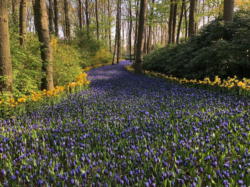 Keukenhof, Tulip Farm, Flower Fields & Windmills - Should You Book This Keukenhof, Windmills, Volendam, and Marken Tour?