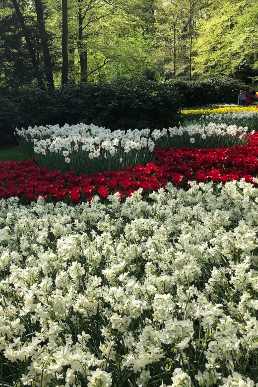 Keukenhof, Tulip Farm, Flower Fields & Windmills - Keukenhof Gardens: How to See the World’s Largest Flower Park Without Burning Out