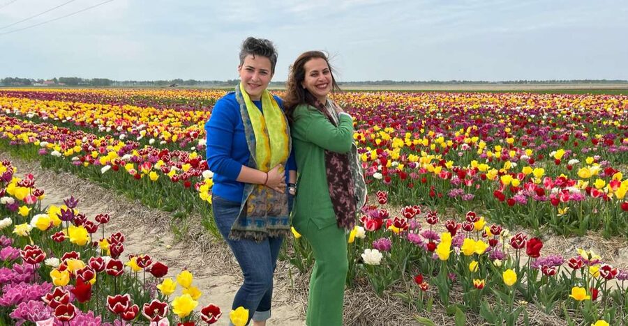Keukenhof, Tulip Farm, Flower Fields & Windmills - Zaanse Schans Windmills: Dutch Manufacturing Made Physical