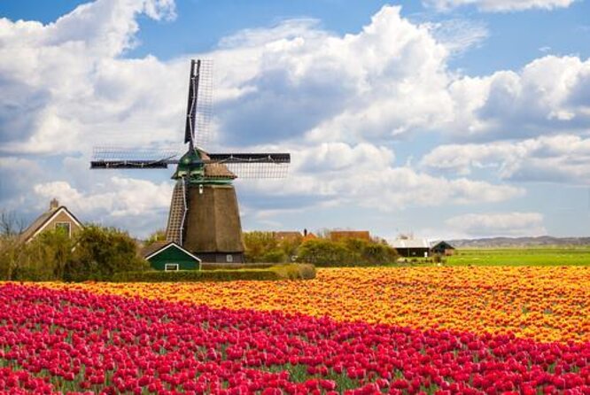 Keukenhof, Tulip Farm, Flower Fields & Zaanse Schans Windmills - Quick takeaways