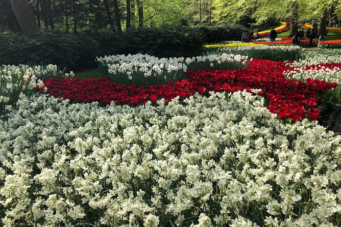 Keukenhof, Tulip Farm, Flower Fields & Zaanse Schans Windmills - Private door-to-door pickup: why this day feels easy