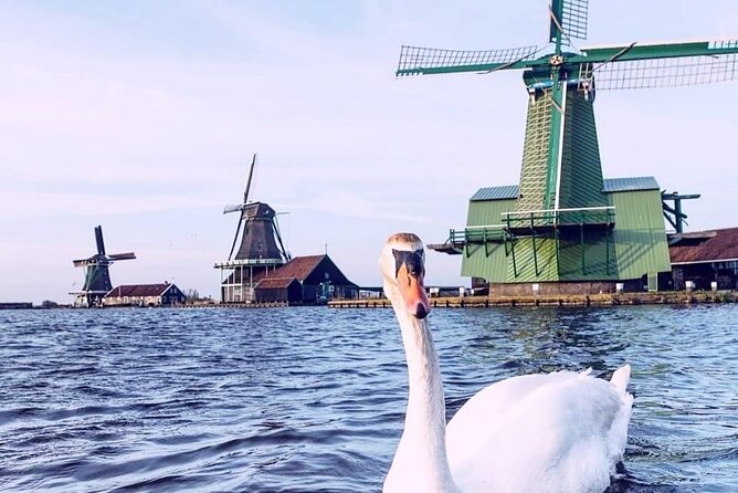 Keukenhof, Tulip Farm, Flower Fields & Zaanse Schans Windmills - How the 7-hour rhythm works (and where to slow down)
