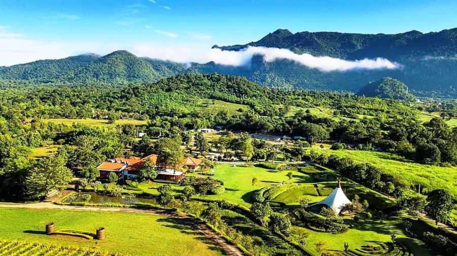 Khao Yai Vineyard Tasting Tour & Horse Farm Visit - Key things to know before you go