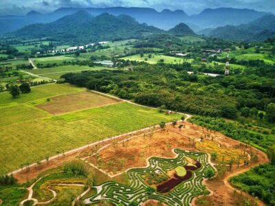 Khao Yai Vineyard Tasting Tour & Horse Farm Visit - PB Valley Khao Yai Winery: tram touring + wine lessons in plain English