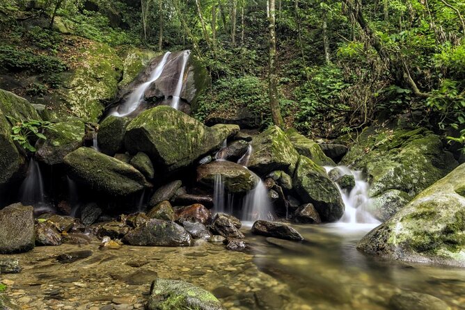 Kinabalu Park & Poring Hot Springs Tour with Desa Dairy Farm - Key highlights worth planning for