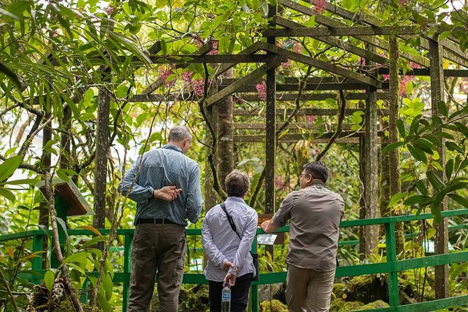 Kinabalu Park & Poring Hot Springs Tour with Desa Dairy Farm - Morning logistics: the 7:15 start and how that affects your day