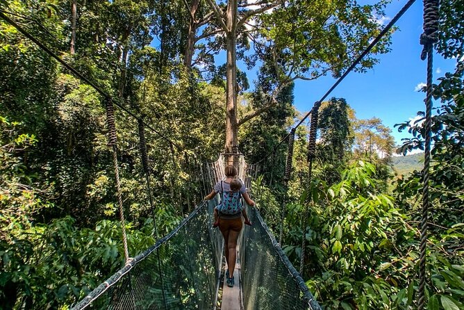 Kinabalu Park & Poring Hot Springs Tour with Desa Dairy Farm - Desa Dairy Farm: Mount Kinabalu views with a calm countryside pace