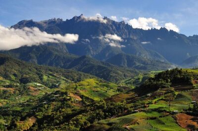 Kinabalu Park & Poring Hot Springs Tour with Desa Dairy Farm - Nabalu fruit market stop: quick break, local flavors, easy start