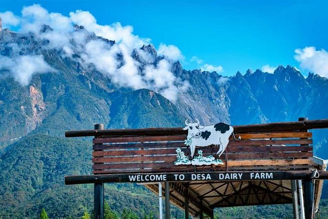 Kinabalu Park With Rumah Terbalik & Desa Cow Farm - Key highlights to zero in on