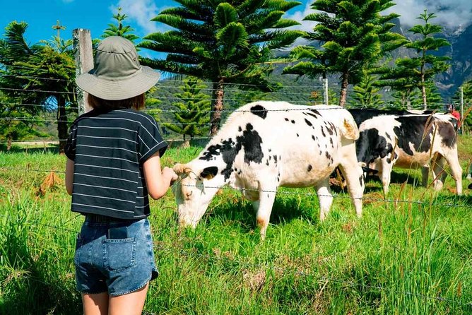Kinabalu Park With Rumah Terbalik & Desa Cow Farm - Guide, Group Size, and Comfort: What to Expect
