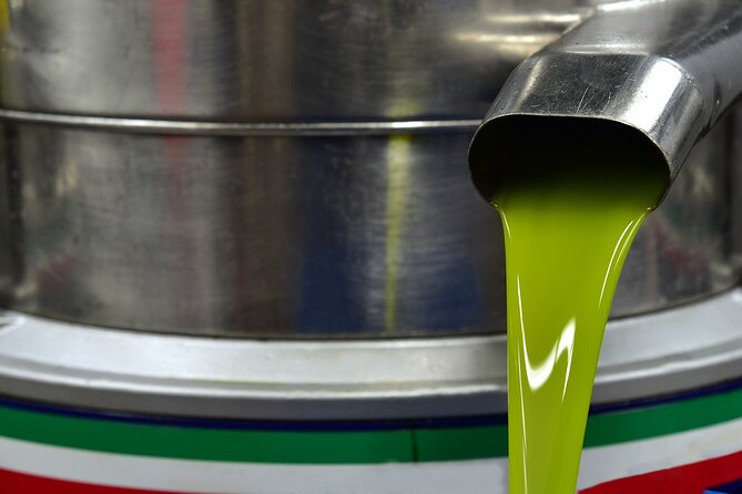 Kleanthi Olive Farm: Guided Tour with Local Delicacies Tasting - Onsite store time: buy what you actually liked