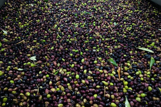 Kleanthi Olive Farm: Guided Tour with Local Delicacies Tasting - Price and logistics: value for a short, well-paced stop