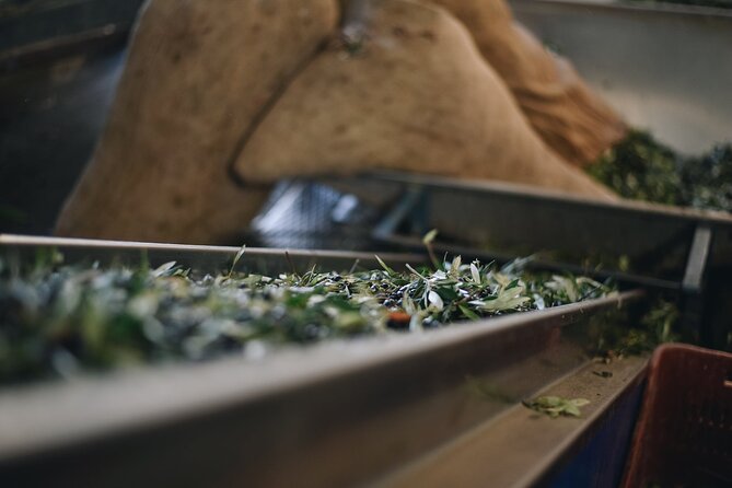 Kleanthi Olive Farm: Guided Tour with Local Delicacies Tasting - Who should book Kleanthi Olive Farm (and who might hesitate)