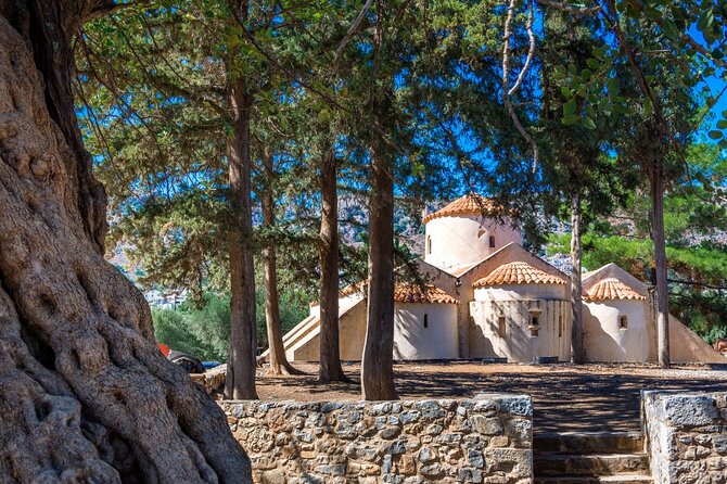 Knossos, Lasithi, Zeus Cave & Olive Mill Farm Combo Tour - Krasi village and the oldest plane tree: where to slow down