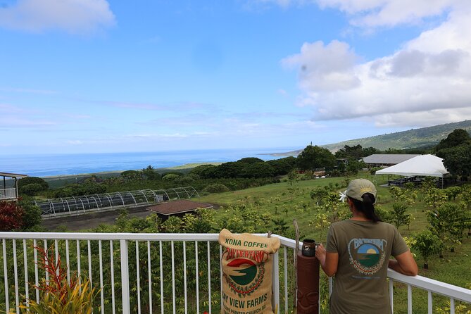Kona Coffee Farm Tour from Tree to Tasting Room - Under the Coffee Trees: The Part People Often Skip